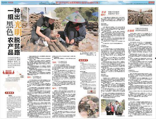 竹山农香最新爆料新闻,最新爆料新闻背后的真相 第2张 竹山农香最新爆料新闻,最新爆料新闻背后的真相 第2张