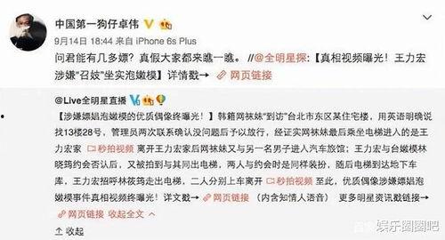卓伟爆料视频在线观看,揭秘娱乐圈幕后真相  第3张
